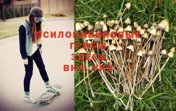 герыч Инта